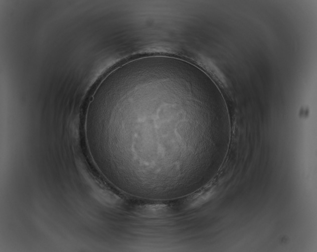 X0000093610108200710221615
