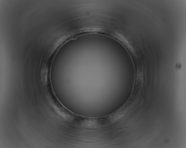 X0000093610110200710221615