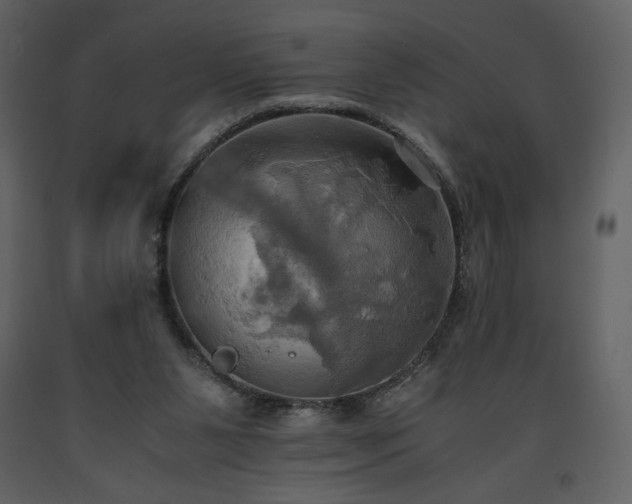 X0000093610111200710221615