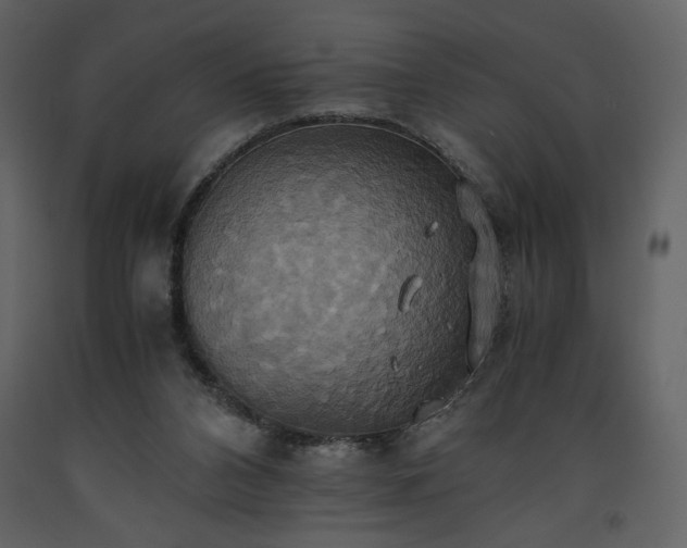 X0000093610112200710221615