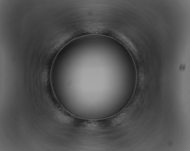 X0000093610113200710221615