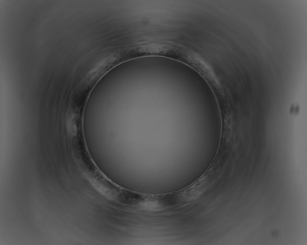 X0000093610114200710221615