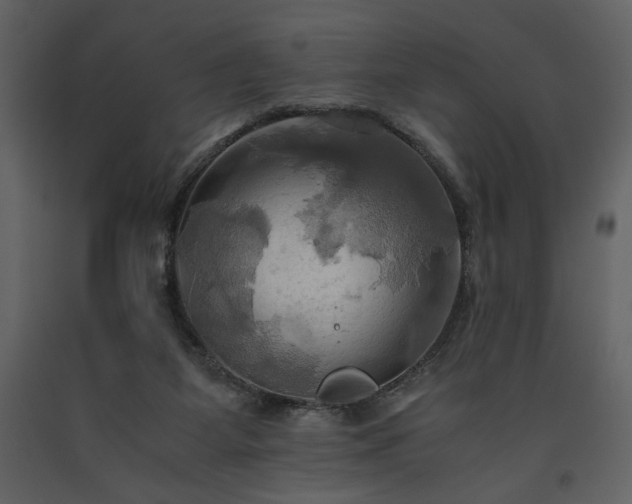 X0000093610115200710221615