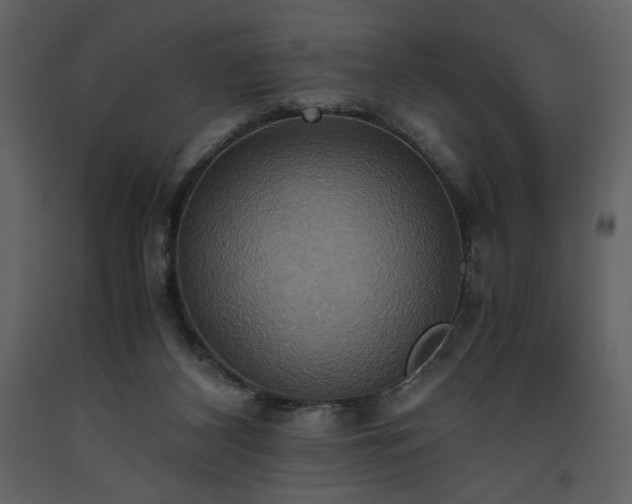 X0000093610116200710221615