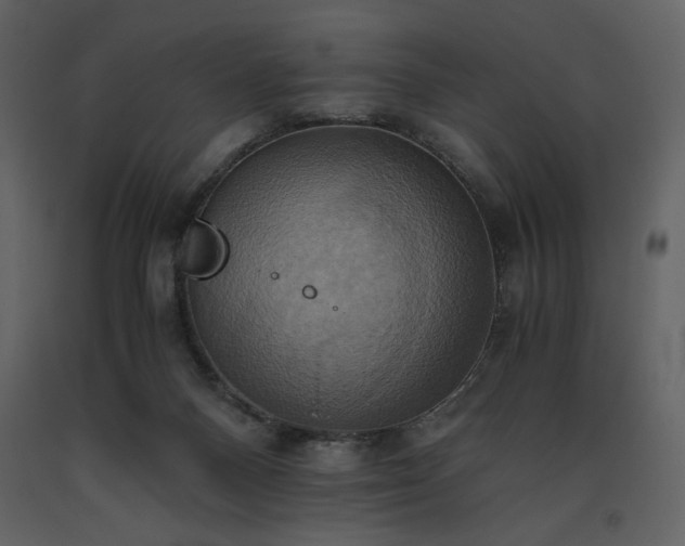 X0000093610120200710221615
