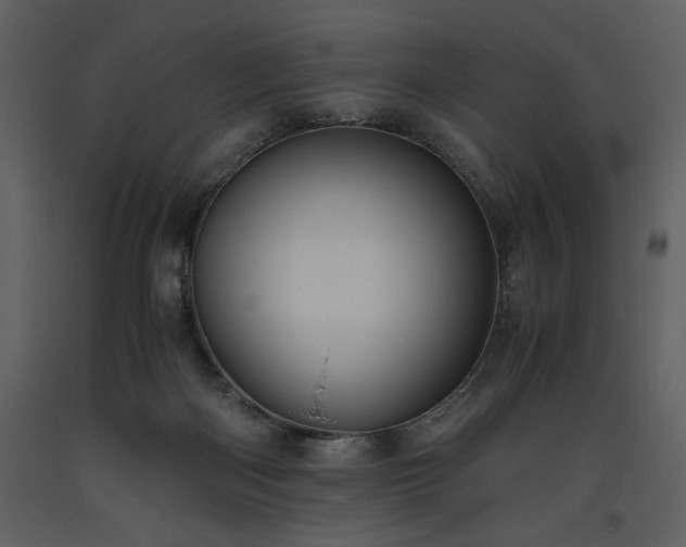 X0000093610122200710221615