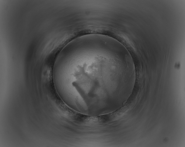 X0000093610123200710221615
