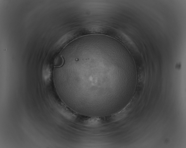 X0000093610124200710221615