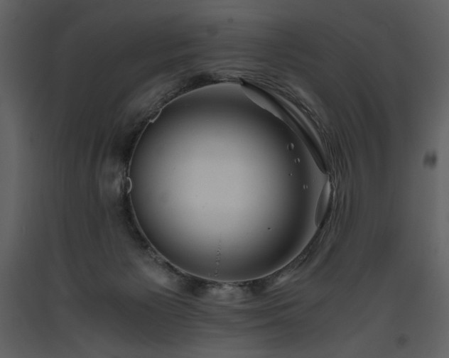 X0000093610125200710221615