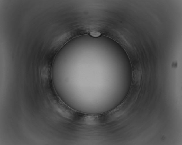 X0000093610126200710221615
