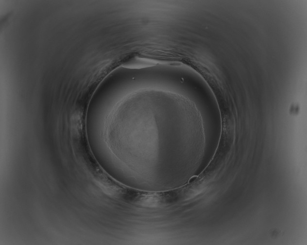 X0000093610127200710221615