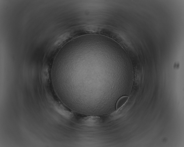 X0000093610128200710221615