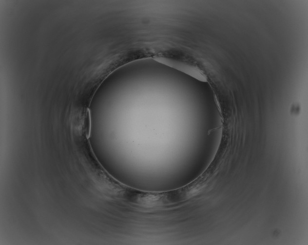 X0000093610129200710221615
