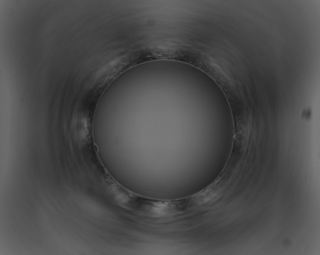 X0000093610130200710221615