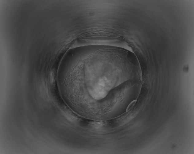 X0000093610131200710221615