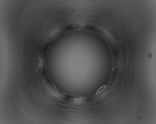 X0000093610134200710221615