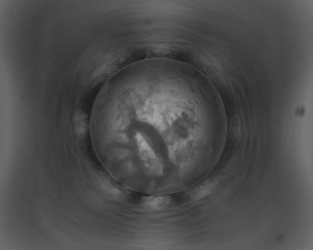 X0000093610135200710221615