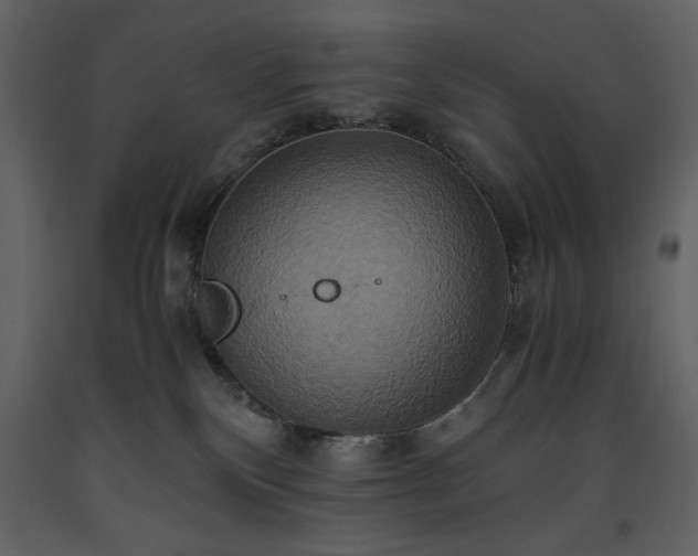 X0000093610136200710221615