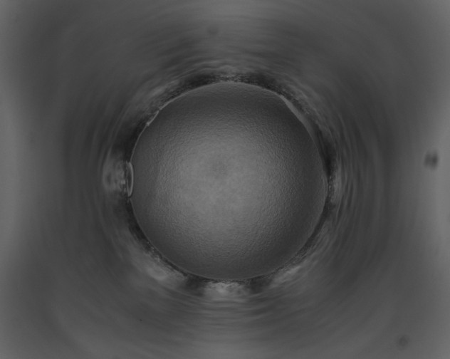 X0000093610137200710221615