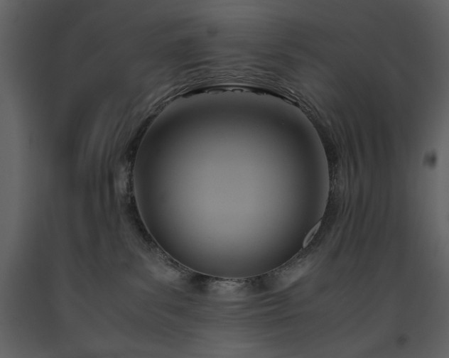 X0000093610139200710221615