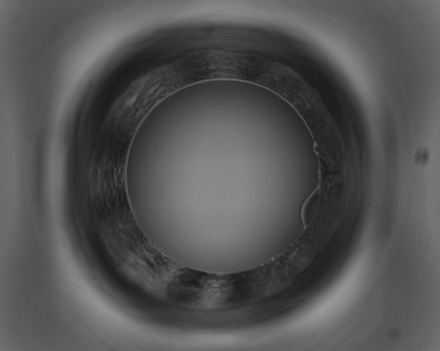 X0000093610143200710221615