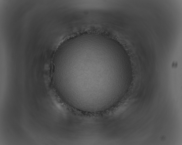 X0000093610144200710221615