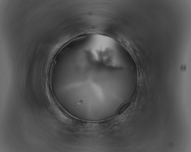 X0000093610145200710221614