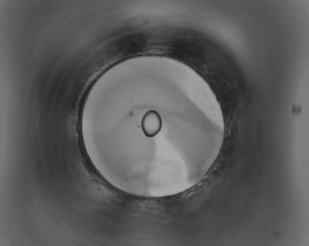 X0000093610146200710221614