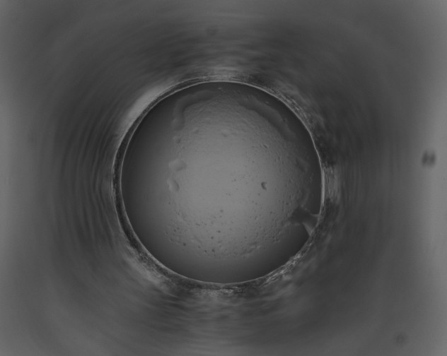 X0000093610147200710221614