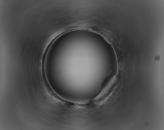 X0000093610148200710221614