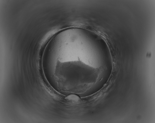 X0000093610149200710221614