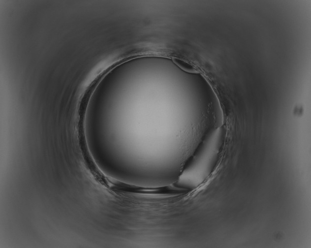X0000093610150200710221614