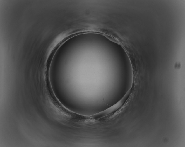 X0000093610152200710221614