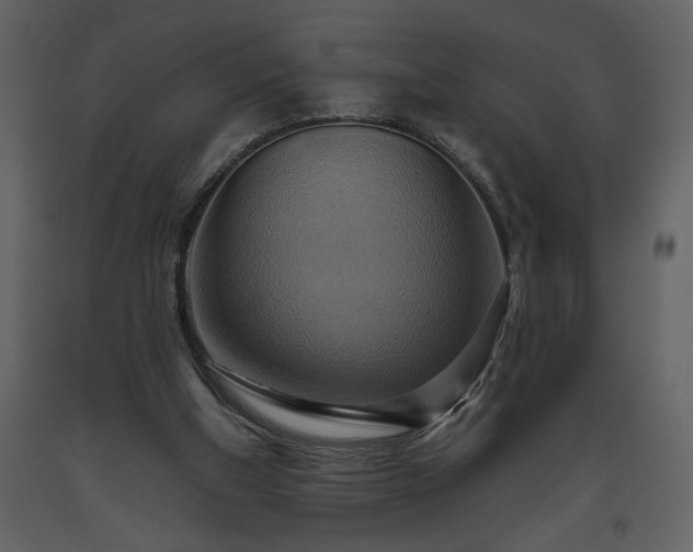 X0000093610154200710221614