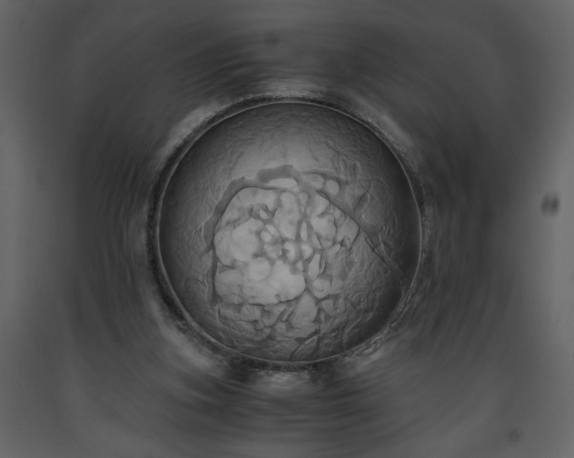 X0000093610155200710221614