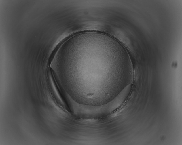 X0000093610156200710221614