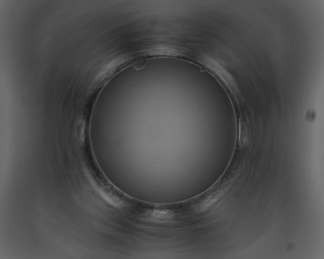 X0000093610157200710221614