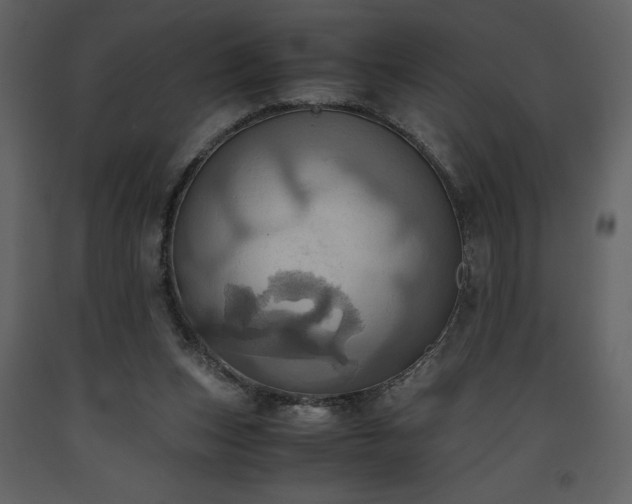 X0000093610159200710221614