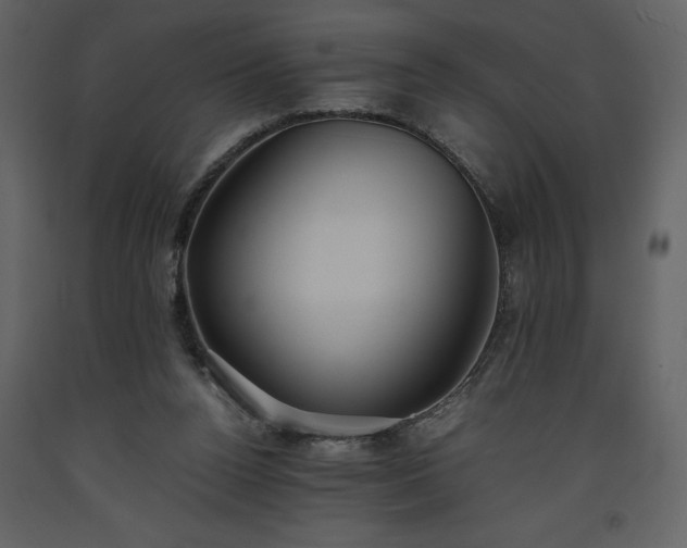 X0000093610160200710221614
