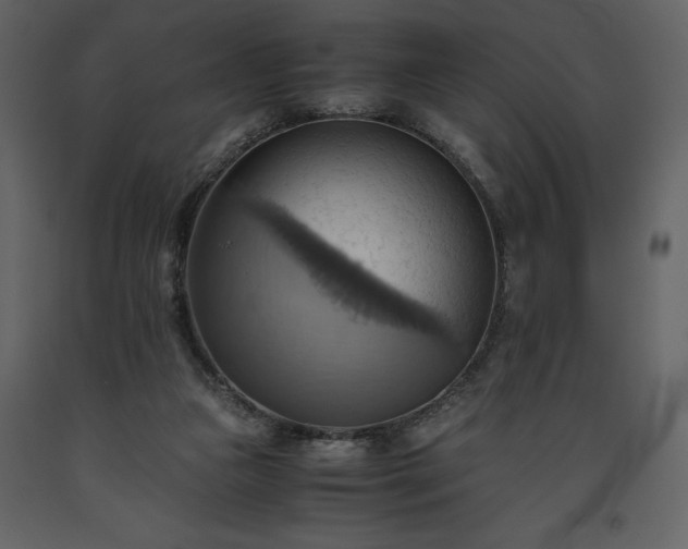 X0000093610161200710221614