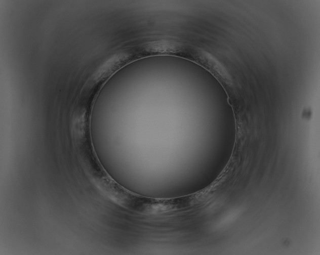 X0000093610163200710221614