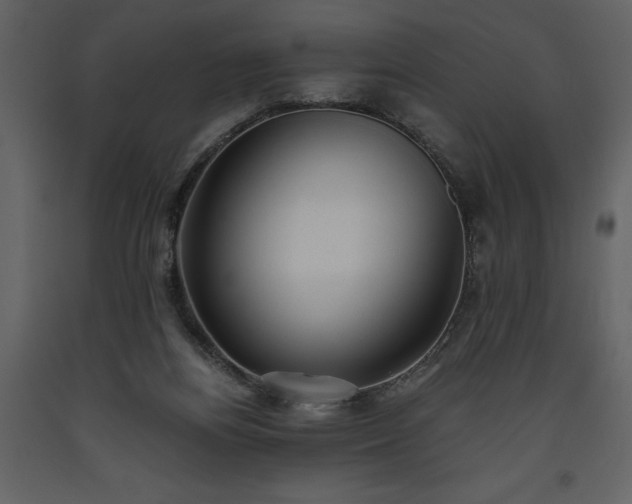 X0000093610164200710221614