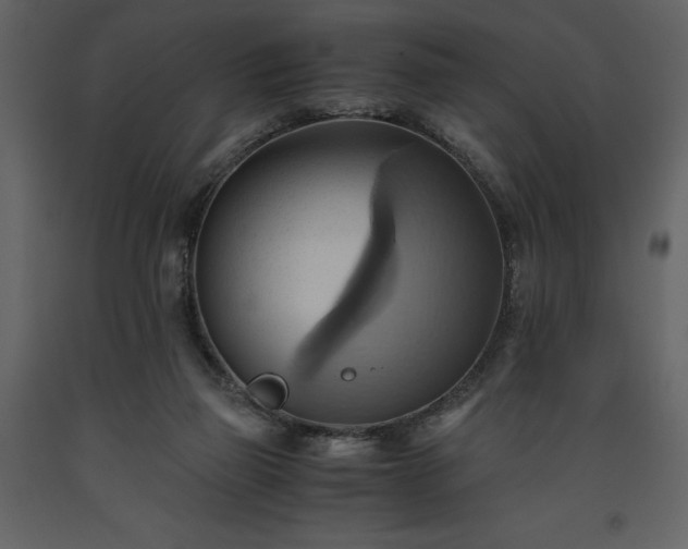 X0000093610165200710221614