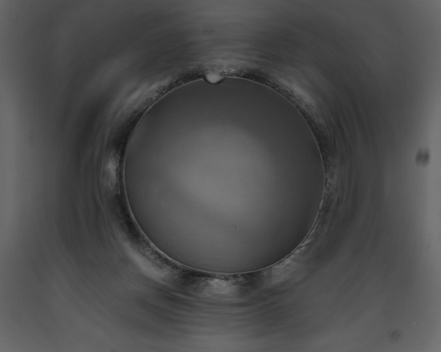 X0000093610166200710221614