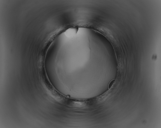 X0000093610167200710221614