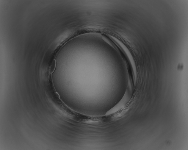 X0000093610168200710221614