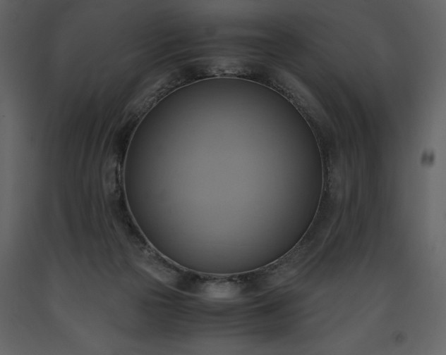 X0000093610169200710221614