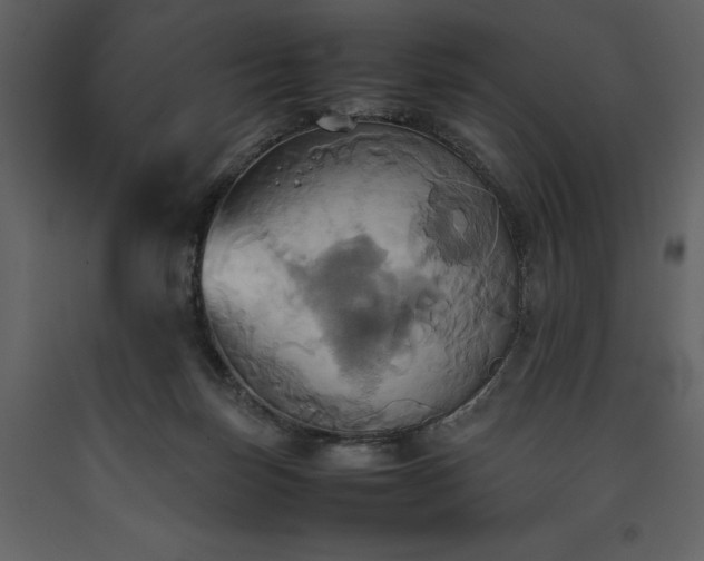 X0000093610171200710221614