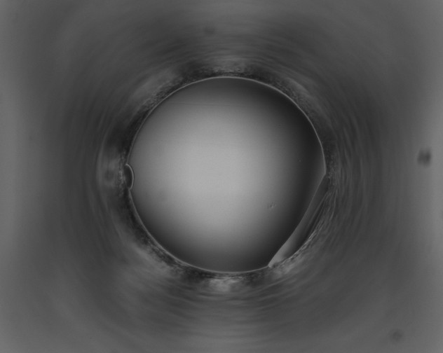 X0000093610172200710221614