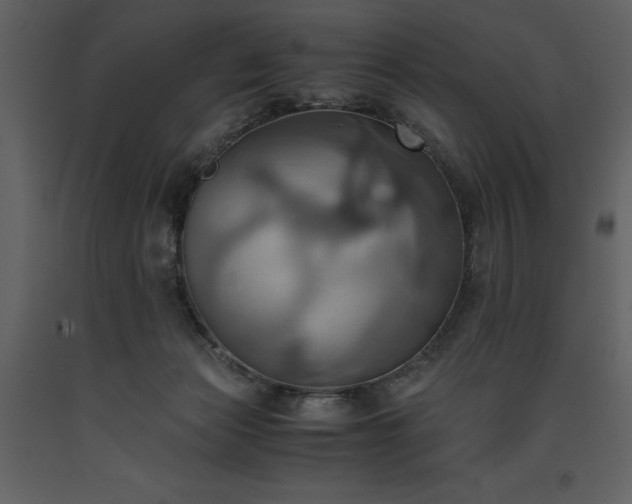 X0000093610173200710221614